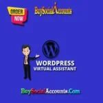 Top-Rated WordPress Virtual Assistant 1 WordPress Virtual Assistants